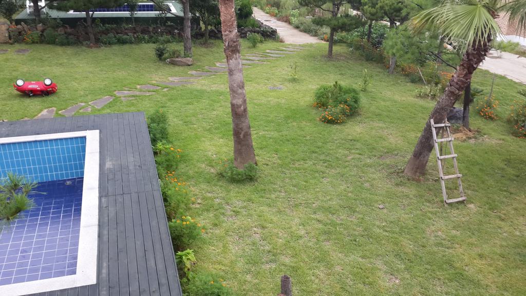 Willa Jeju Olleh House Zewnętrze zdjęcie